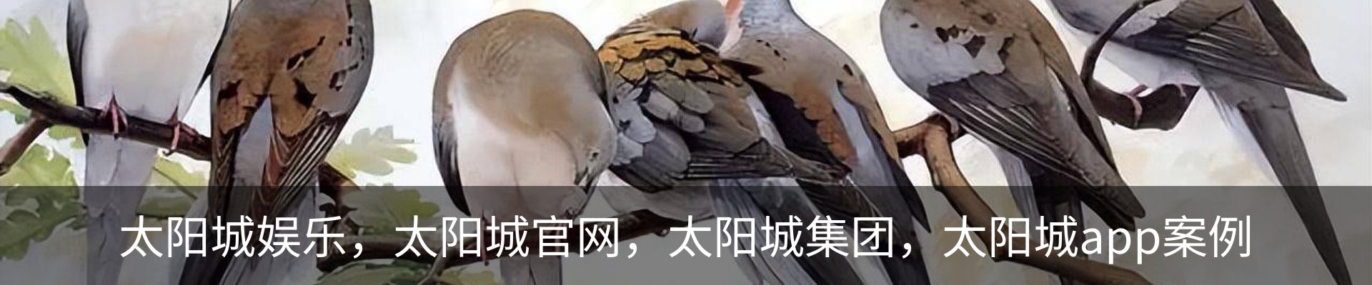 太阳城娱乐，太阳城官网，太阳城集团，太阳城app案例